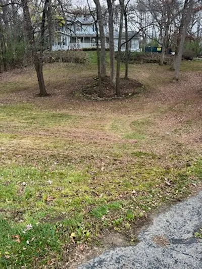 Trusted landscaping services for homes in Whitewater, WI by Lawn In Order