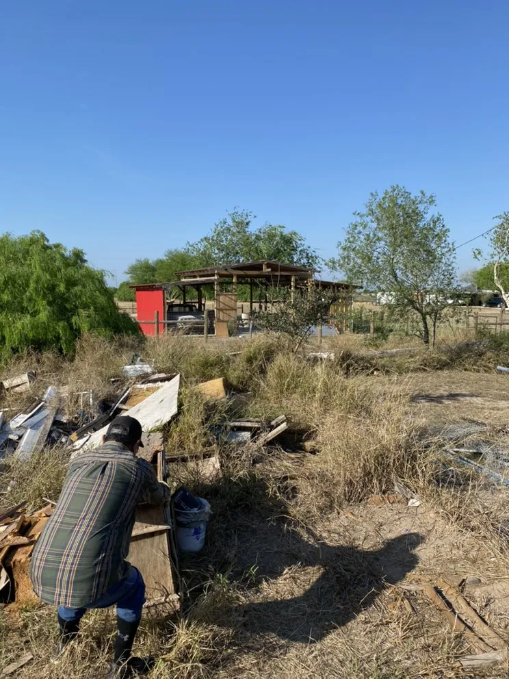 Professional landscaping services in Harlingen, TX by Lawn In Order Yard Service