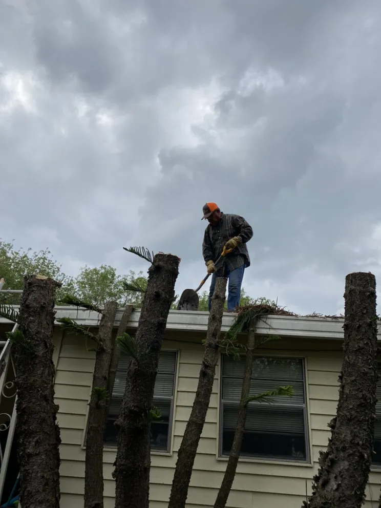 Reliable yard maintenance near you in Harlingen, TX by Lawn In Order Yard Service