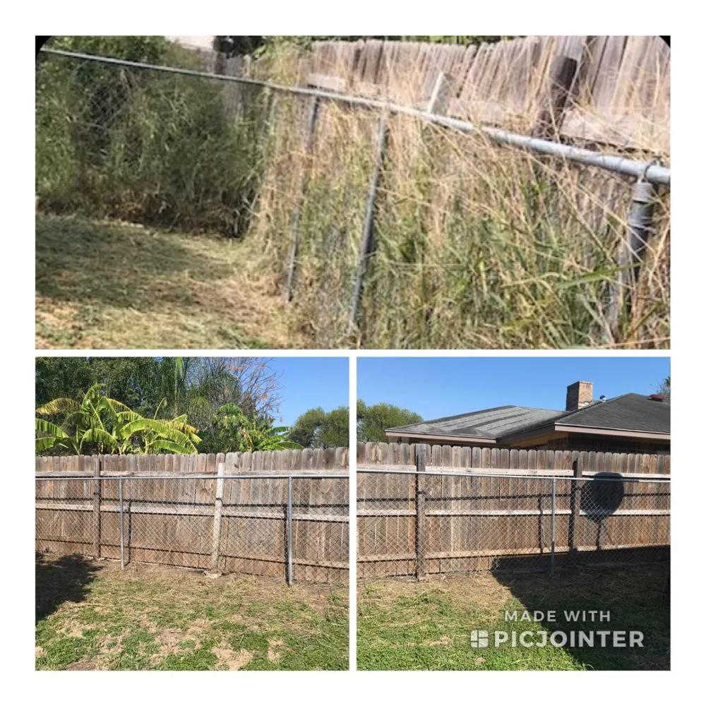 Custom residential landscaping with custom design in Harlingen, TX by Lawn In Order Yard Service