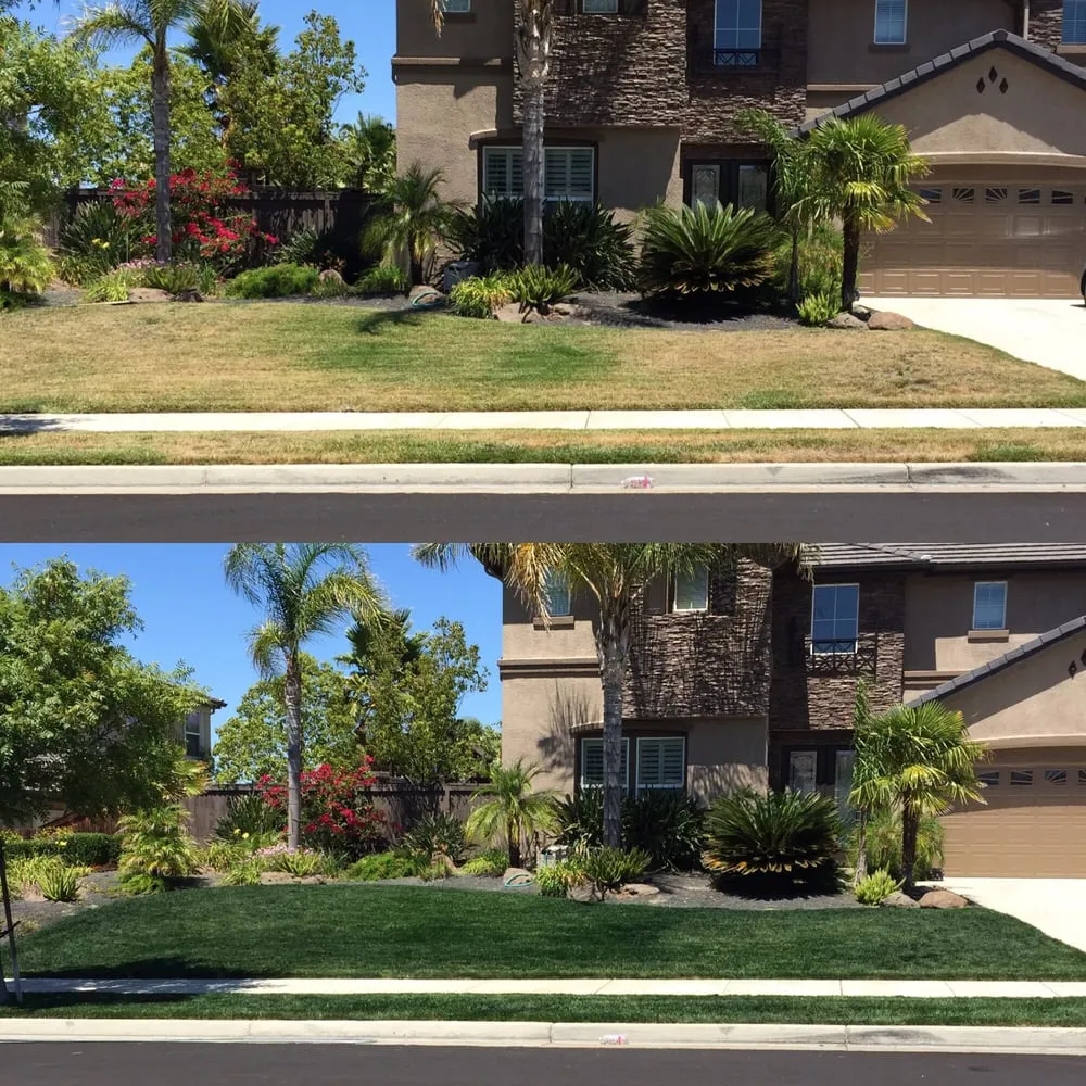 Local lawn mowing service in Brentwood, CA - Lawn Ink