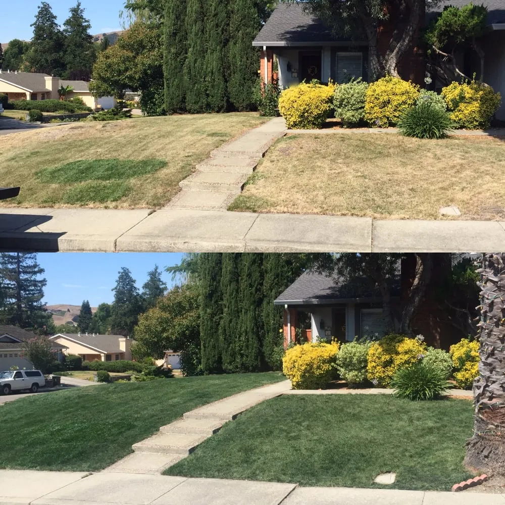 Professional landscape installation for residential properties across Brentwood, CA - Lawn Ink
