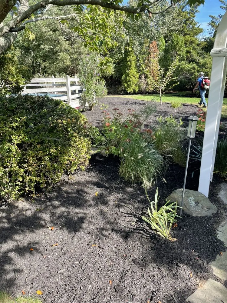 Reliable yard cleanup service experts serving Ronkonkoma, NY - Lawn Island Landcaping