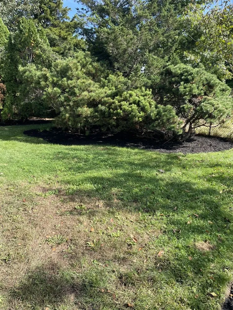 Trusted garden landscaping experts serving Ronkonkoma, NY - Lawn Island Landcaping