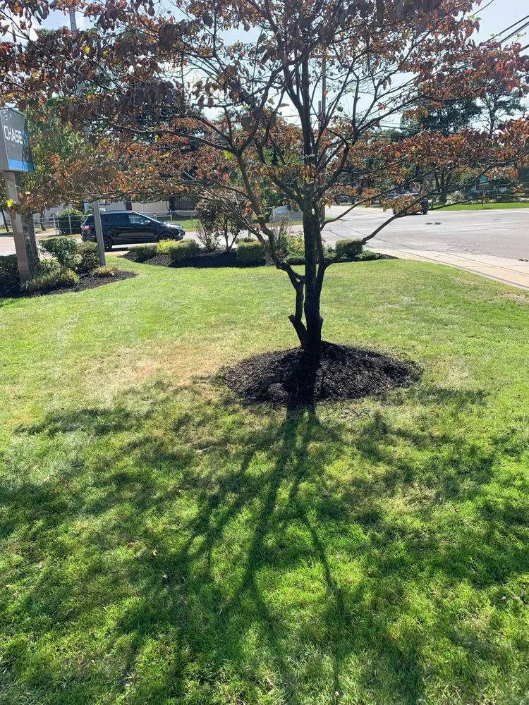 Top-rated yard maintenance experts serving Ronkonkoma, NY - Lawn Island Landcaping