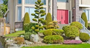 Lawn Island Professional Landscaping Logo