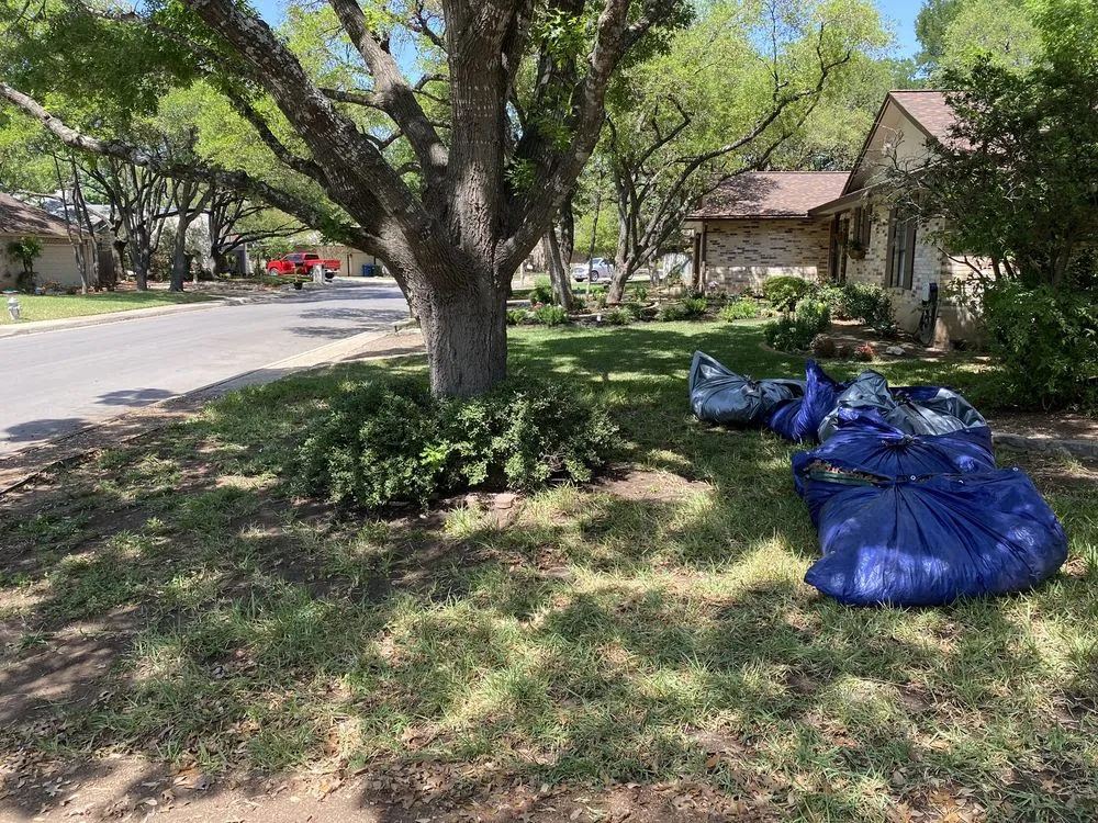 Trusted yard maintenance for homes in San Antonio, TX by Lawn Jockeys