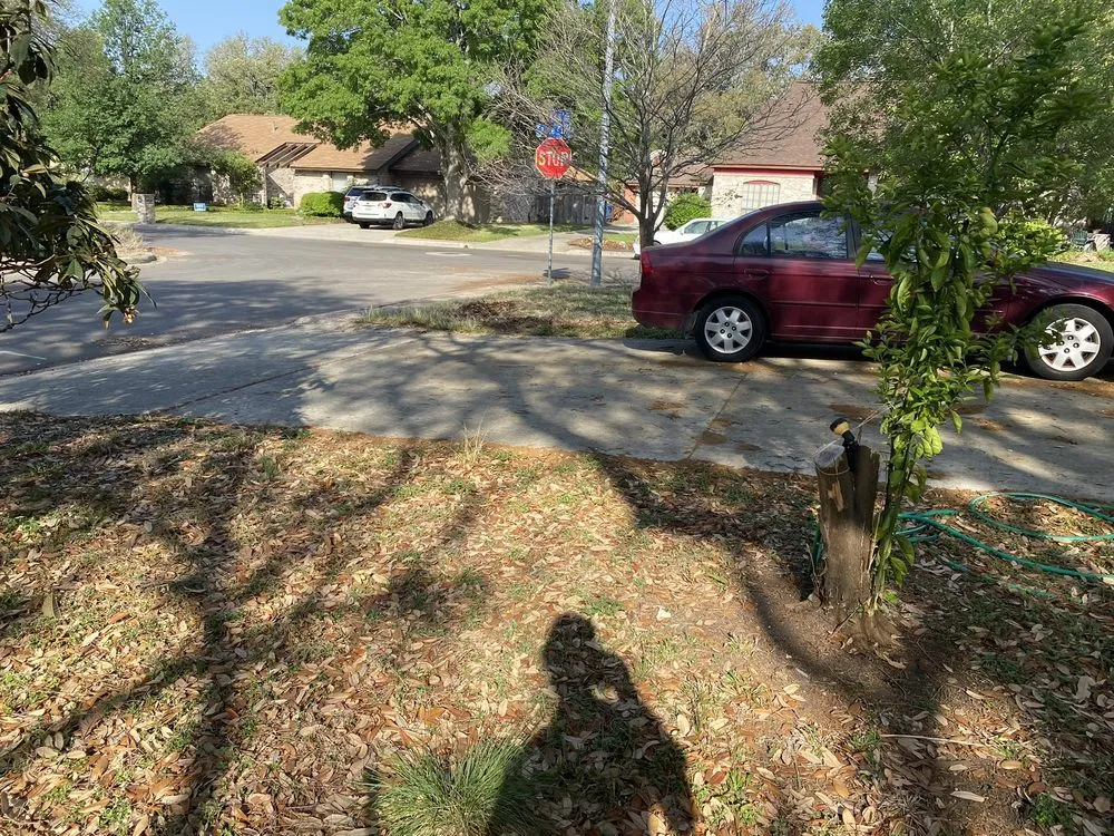 Affordable lawn care service in San Antonio, TX - Lawn Jockeys