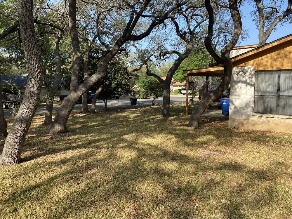 Reliable yard maintenance in San Antonio, TX by Lawn Jockeys