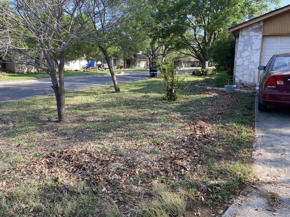 Top-rated outdoor landscaping in San Antonio, TX - Lawn Jockeys