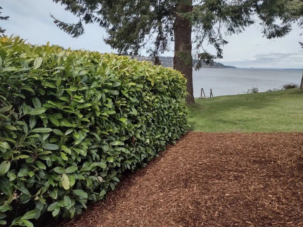 Affordable lawn care service in Clinton, WA - Lawn Jockeyz