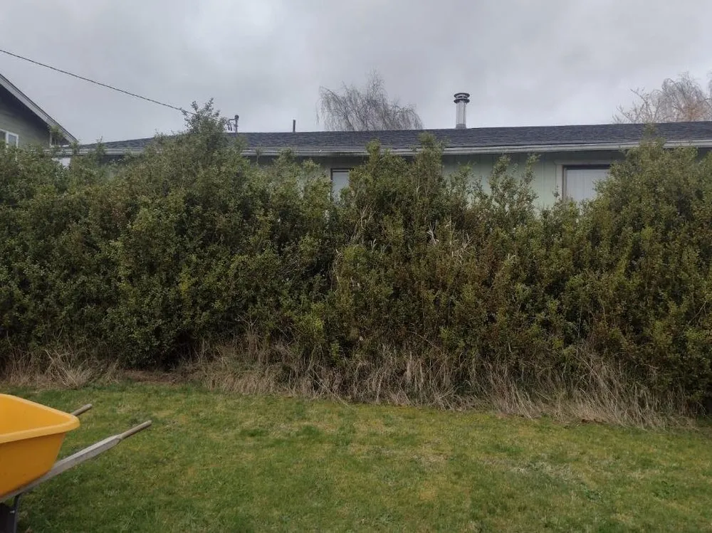 Top-rated lawn mowing service experts serving Clinton, WA - Lawn Jockeyz