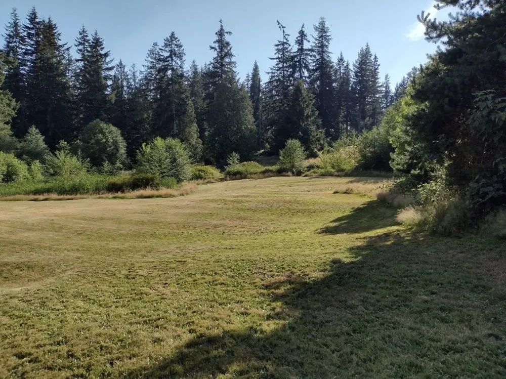 Reliable landscape design in Clinton, WA - Lawn Jockeyz