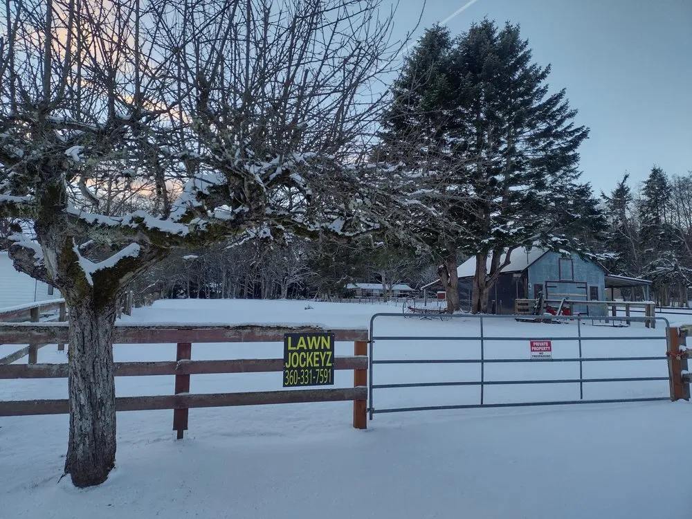 Top-rated yard maintenance in Clinton, WA - Lawn Jockeyz