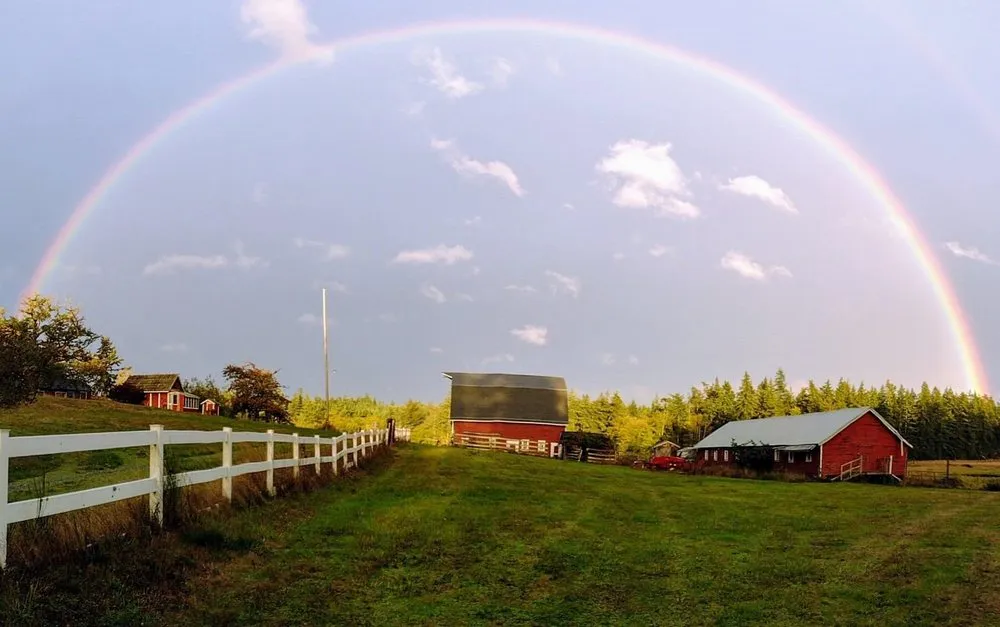 Reliable landscaping services for outdoor upgrades in Clinton, WA by Lawn Jockeyz