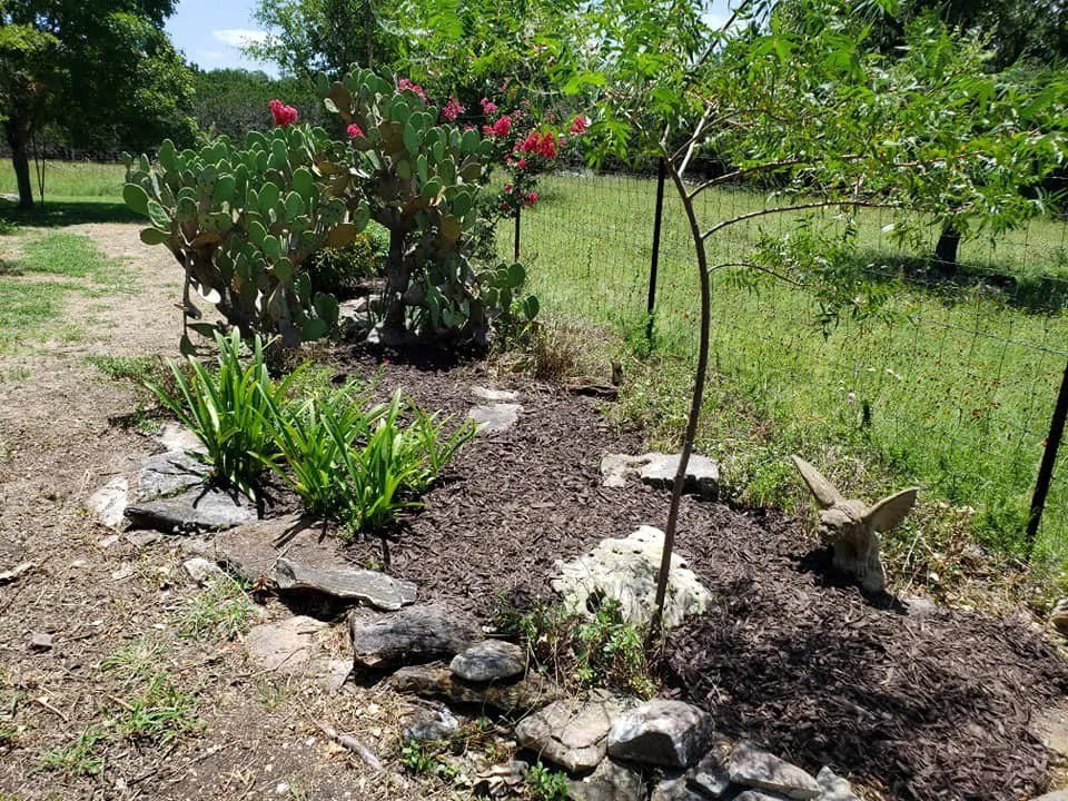 Expert lawn care service in Kerrville, TX - Lawn John