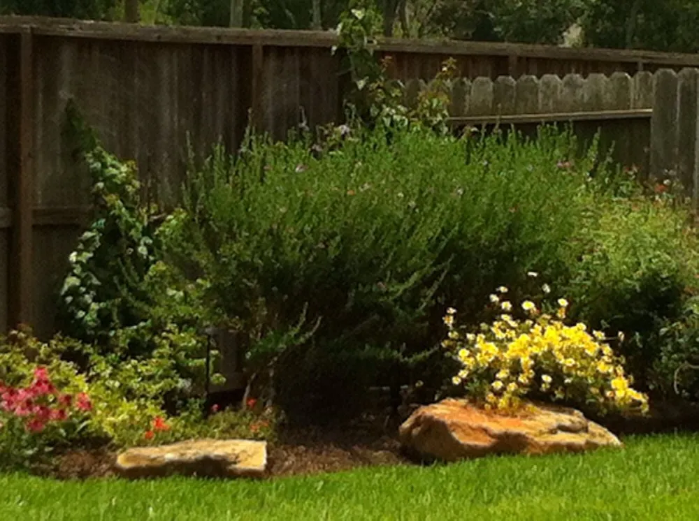 Trusted residential landscaping experts serving Sugar Land, TX - Lawn John