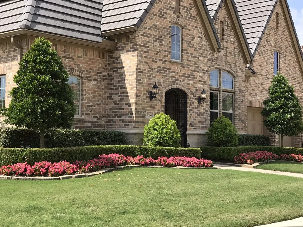 Affordable yard maintenance in Sugar Land, TX - Lawn John