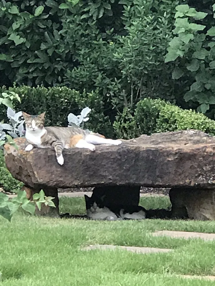 Expert landscape installation for year-round maintenance across Sugar Land, TX - Lawn John