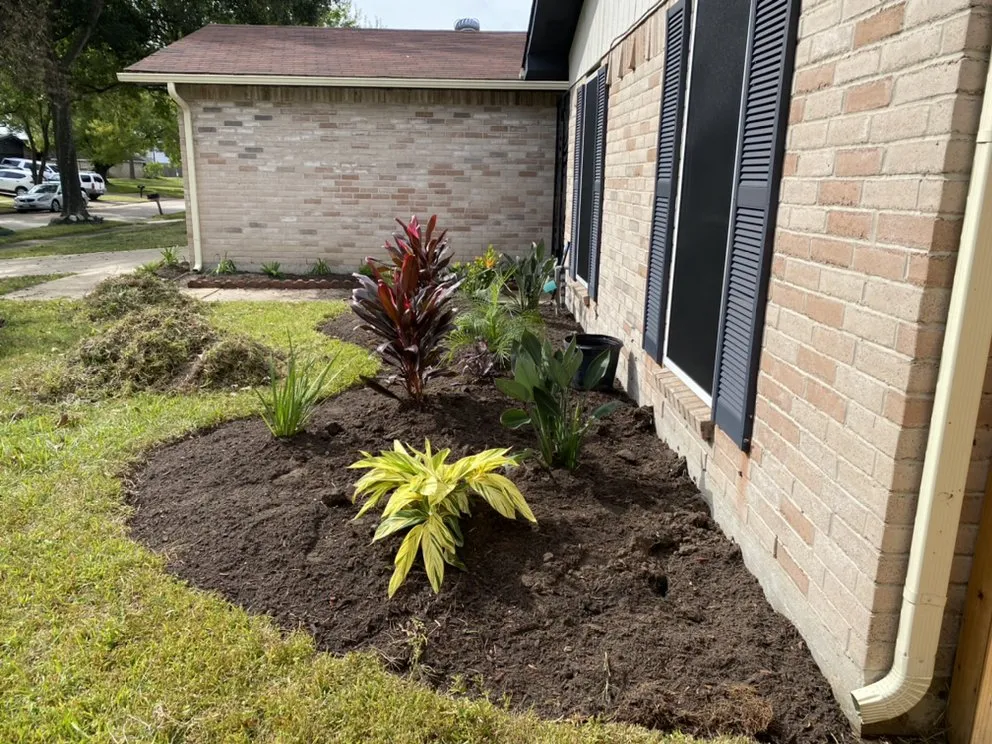 Expert residential landscaping for outdoor upgrades across Sugar Land, TX - Lawn John