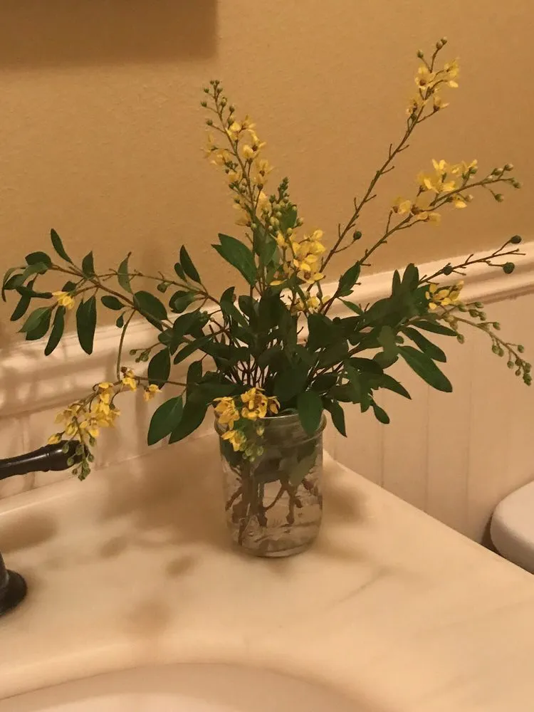 Professional lawn mowing service in Sugar Land, TX - Lawn John