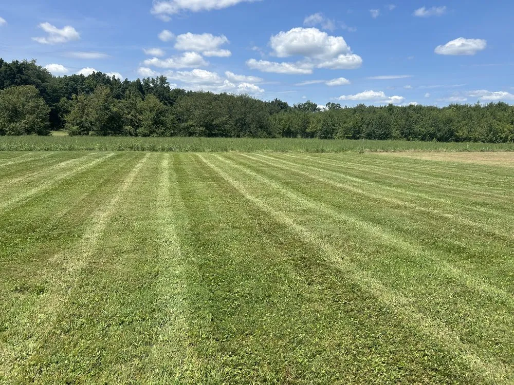 Local yard cleanup service for beautiful yards across Woodbury, TN - Lawn John's Lawn Care
