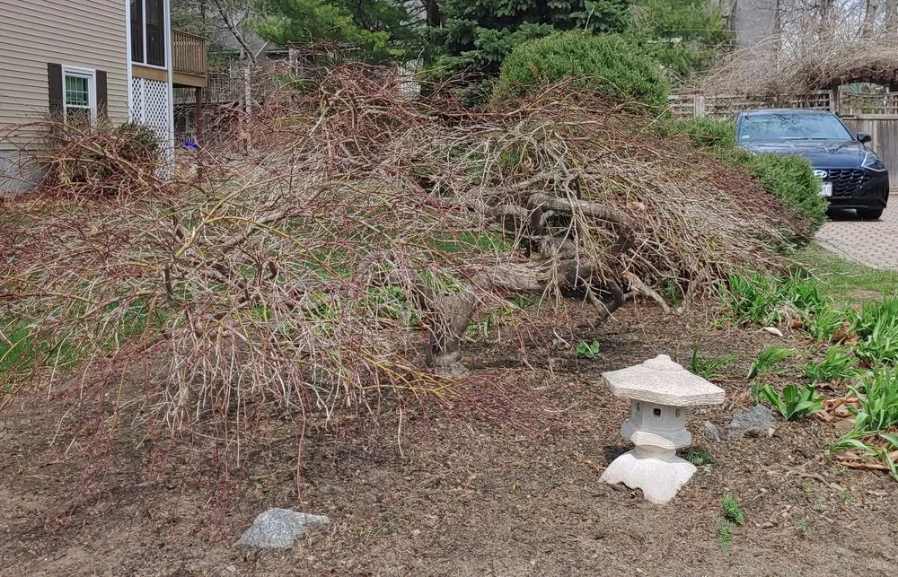 Expert landscape design in Waltham, MA - Lawn Jon Services