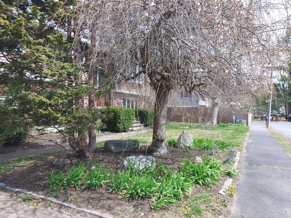 Expert yard cleanup service in Waltham, MA - Lawn Jon Services