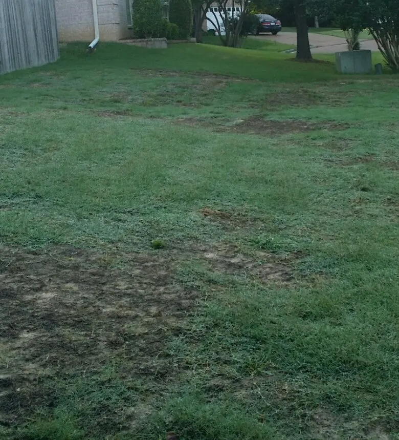 Expert residential landscaping near you across Olive Branch, MS - Lawn Jox