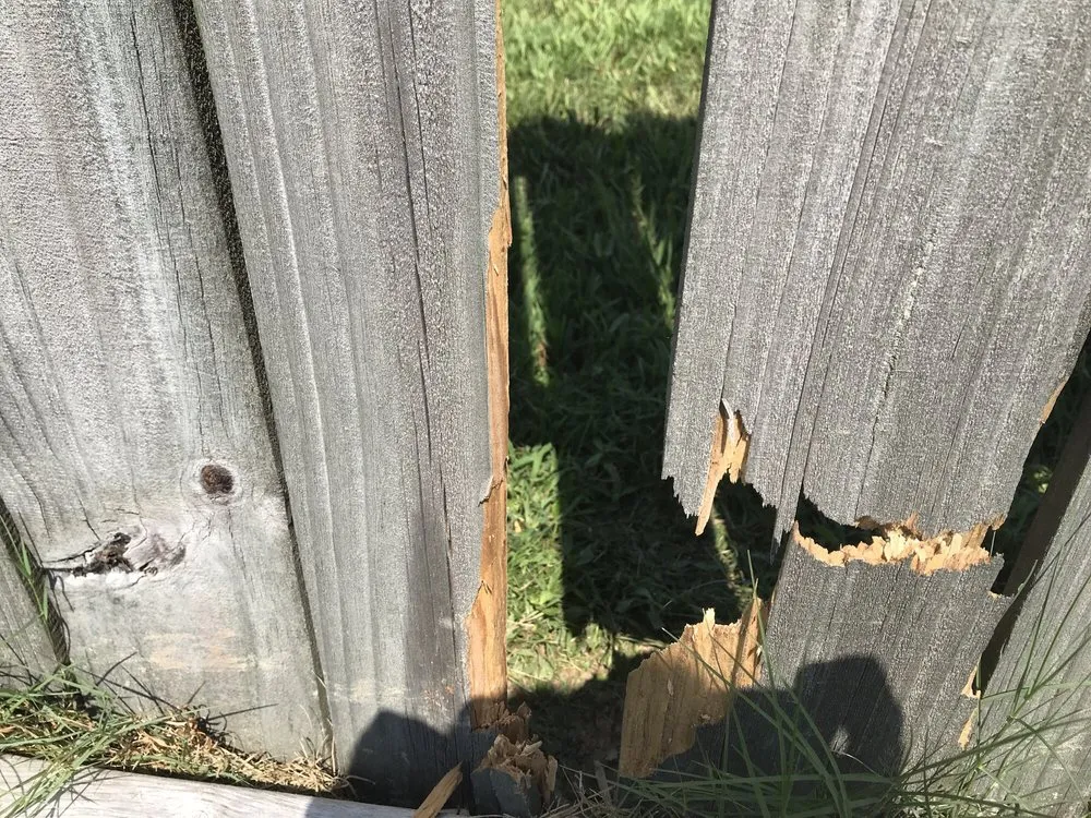 Trusted residential landscaping for beautiful yards in Olive Branch, MS by Lawn Jox