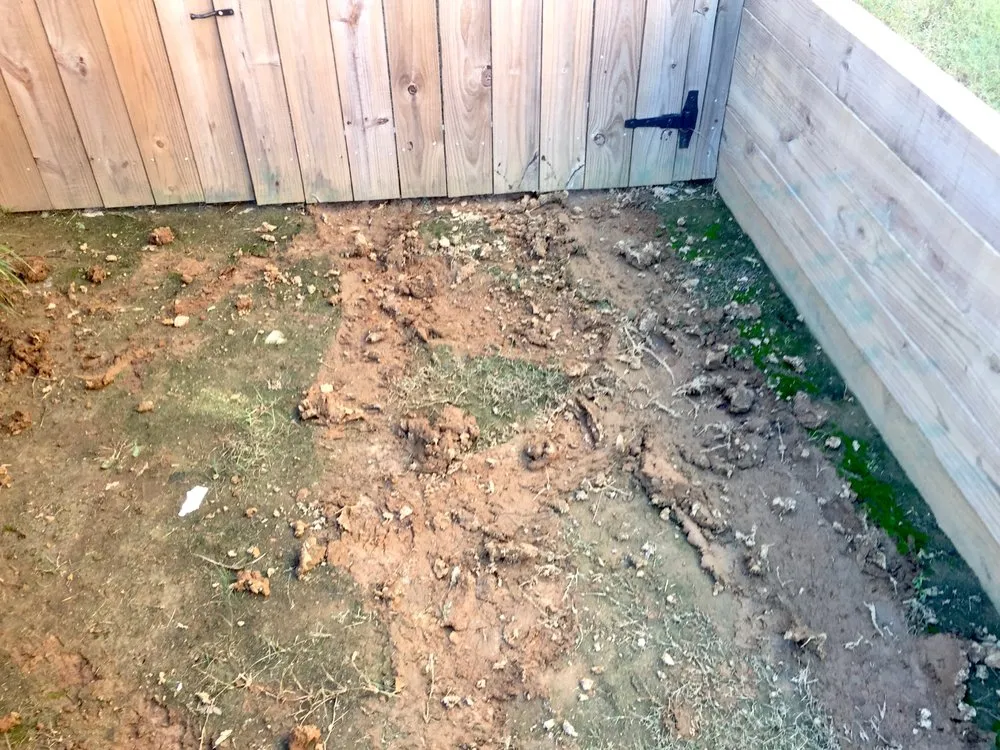 Trusted yard cleanup service near you across Olive Branch, MS - Lawn Jox