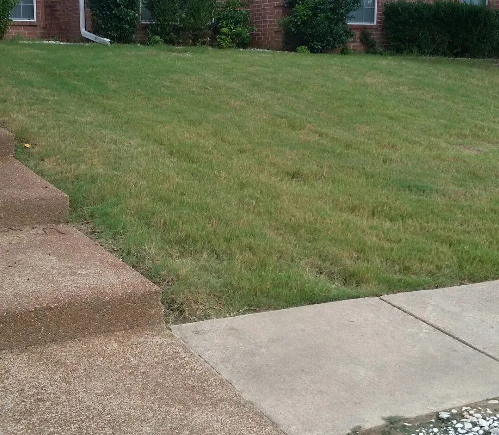 Affordable landscaping services in Olive Branch, MS by Lawn Jox