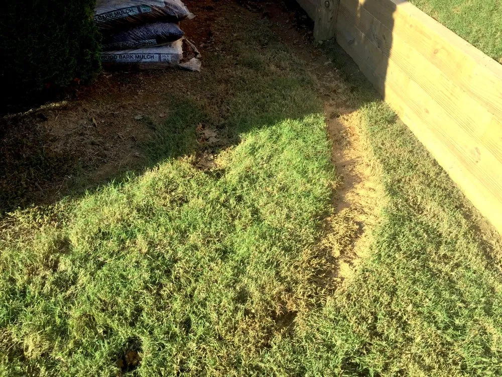 Reliable garden landscaping for year-round maintenance across Olive Branch, MS - Lawn Jox