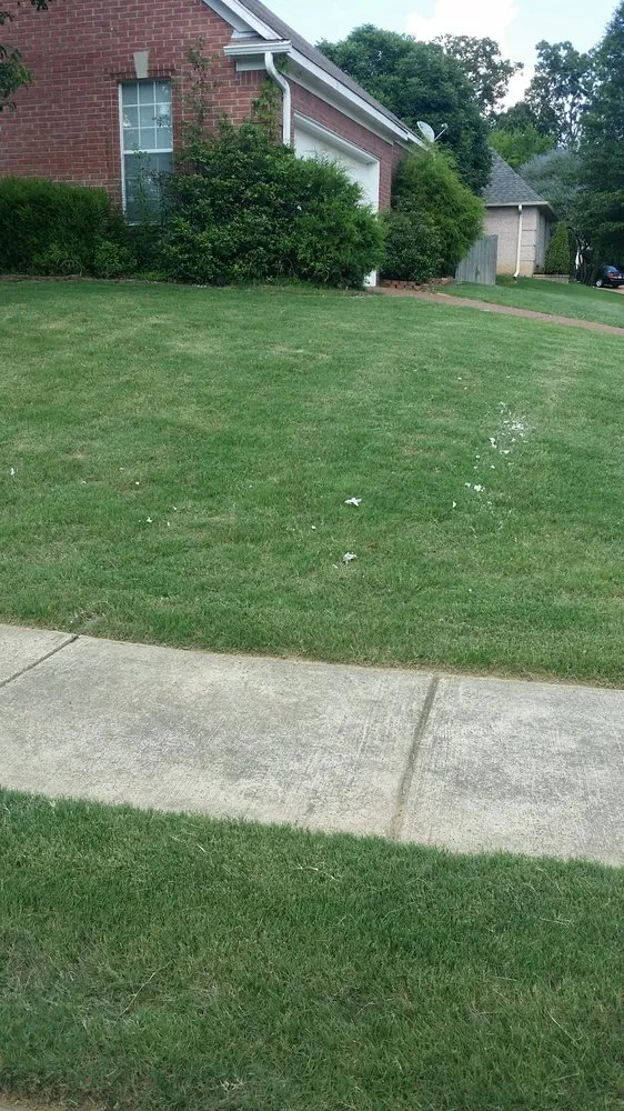 Reliable outdoor landscaping for beautiful yards in Olive Branch, MS by Lawn Jox