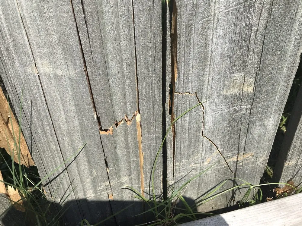 Top-rated garden landscaping in Olive Branch, MS by Lawn Jox