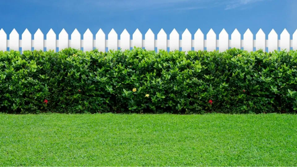 Trusted landscape design in Olive Branch, MS - Lawn Jox