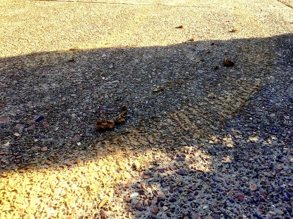 Custom outdoor landscaping in Olive Branch, MS - Lawn Jox