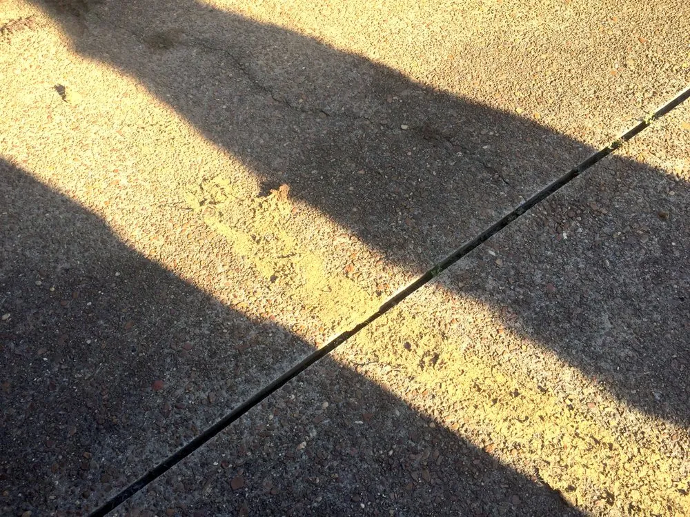 Affordable landscaping services for residential properties in Olive Branch, MS by Lawn Jox