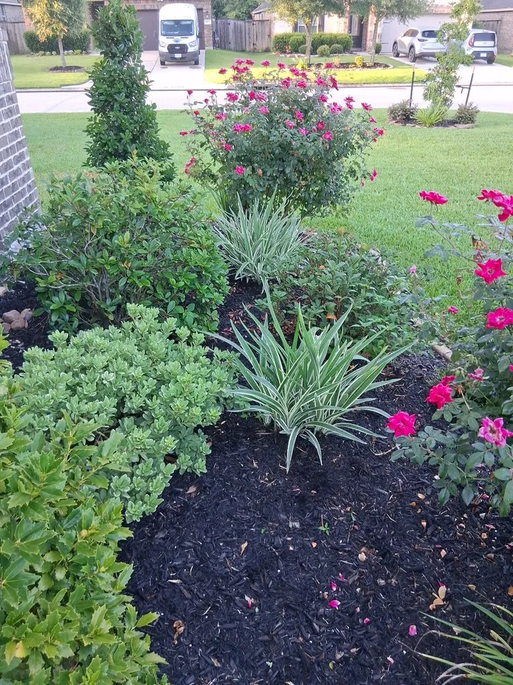 Custom residential landscaping in Conroe, TX - Lawn Keeper