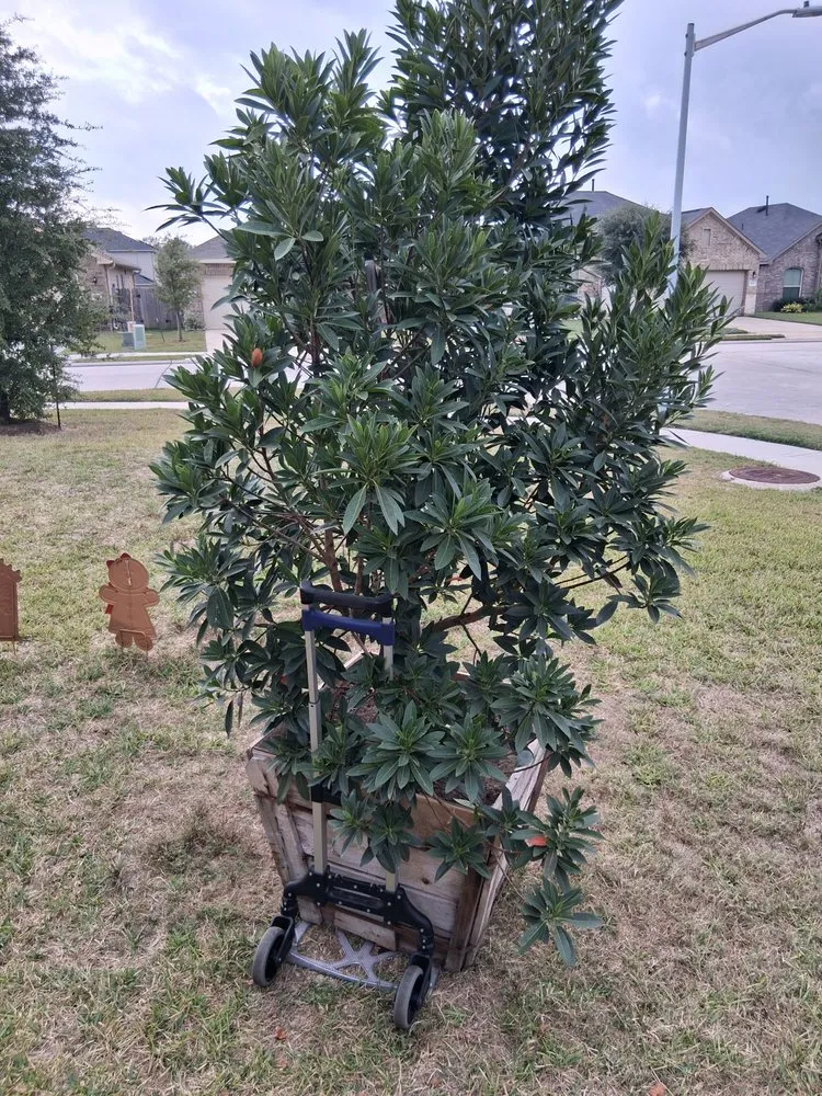 Top-rated garden landscaping in Conroe, TX - Lawn Keeper