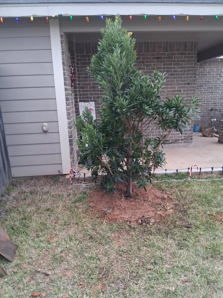 Custom garden landscaping experts serving Conroe, TX - Lawn Keeper