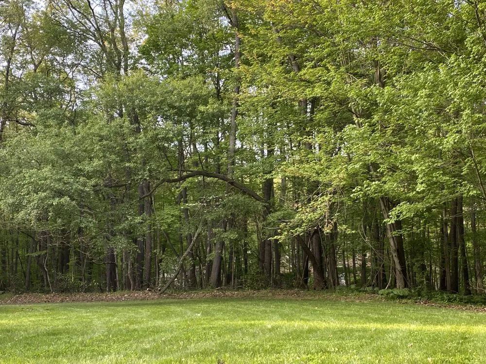 Professional lawn care service in Richland, MI - Lawn Keepers