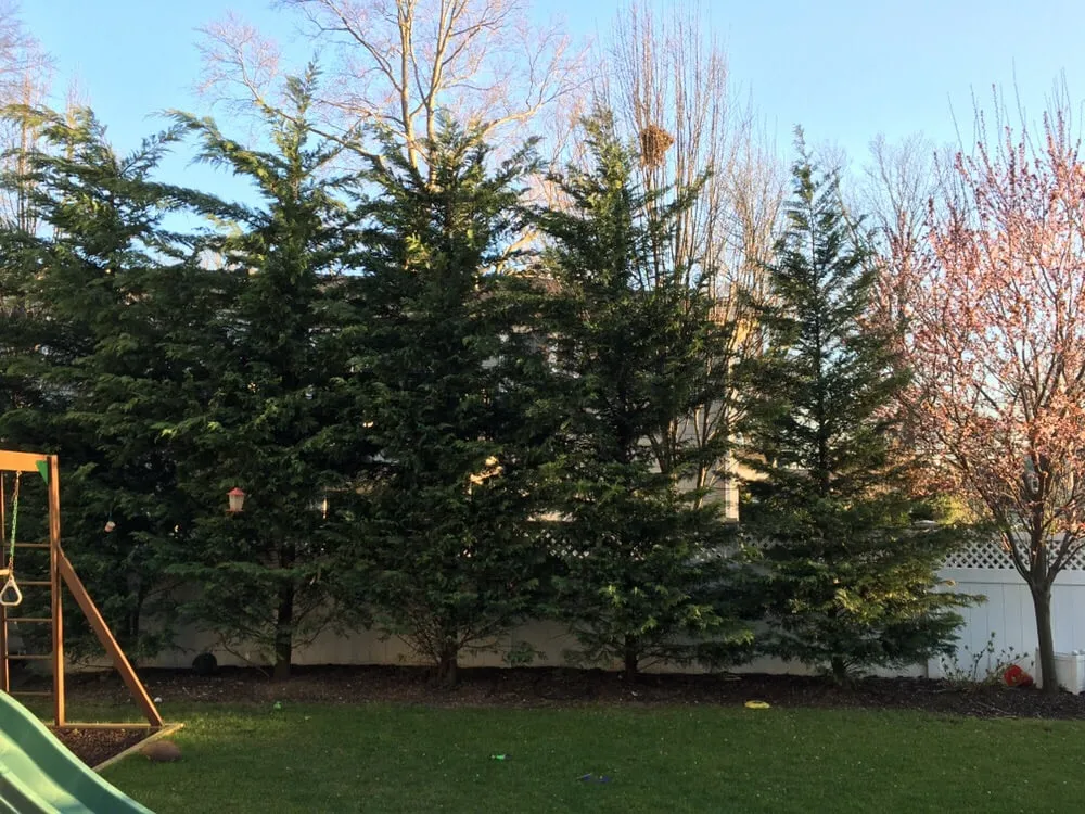 Trusted residential landscaping in Wantagh, NY by Lawn King Design & Maintenance