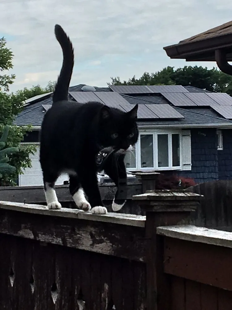 Trusted outdoor landscaping in Wantagh, NY - Lawn King Design & Maintenance