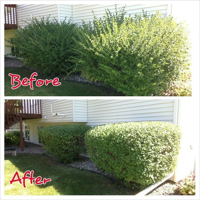 Reliable lawn mowing service in Grand Forks, ND - Lawn King