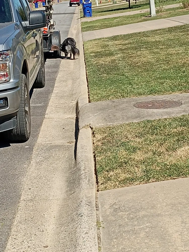 Reliable lawn care service with custom design in Greenbrier, AR by Lawn King