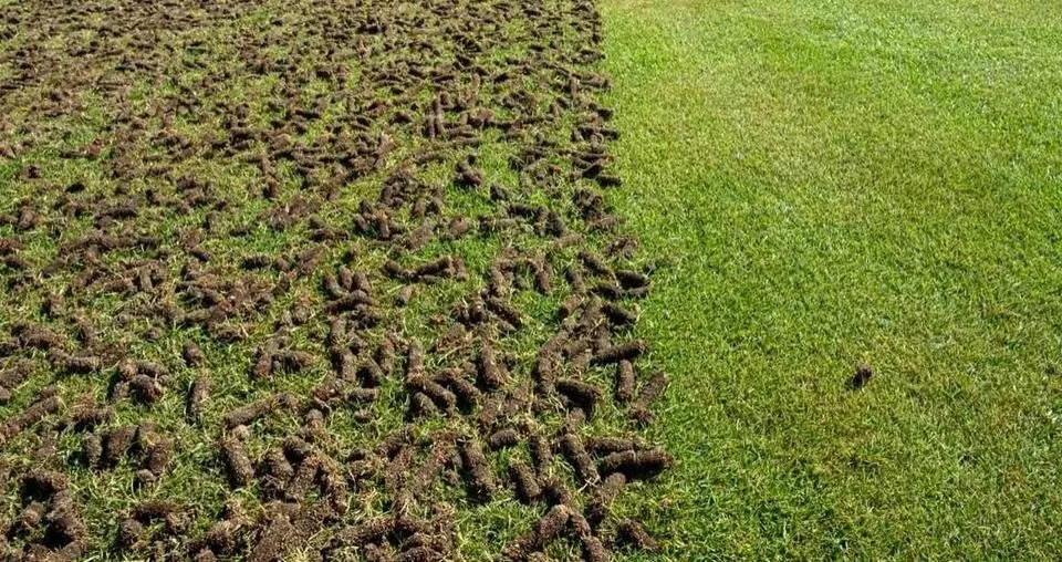 Affordable landscape design experts serving Kansas City, MO - Lawn King