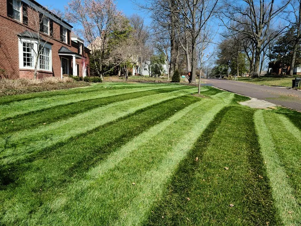 Reliable garden landscaping experts serving Kansas City, MO - Lawn King