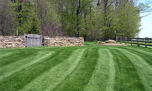 Trusted yard maintenance experts serving Kansas City, MO - Lawn King
