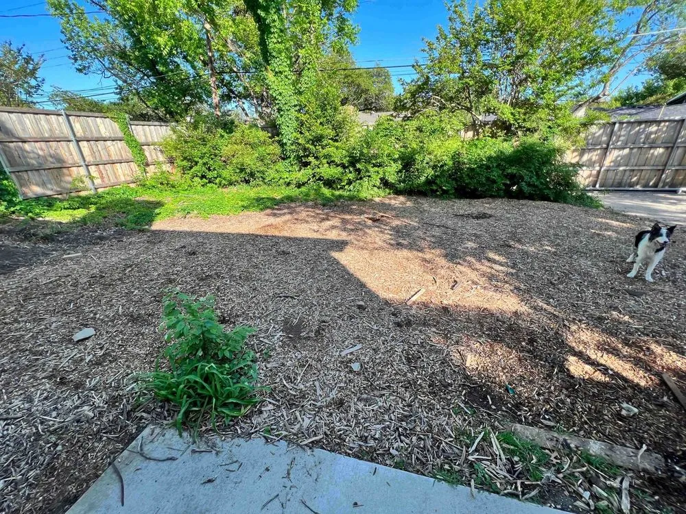 Trusted landscaping services for homes across Plano, TX - Lawn King Of North Dallas